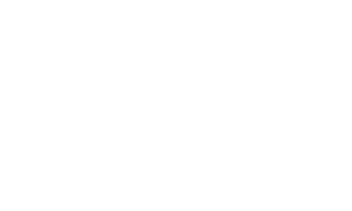 Flex---Partners-and-Investments---LES-Asset-Management-60T