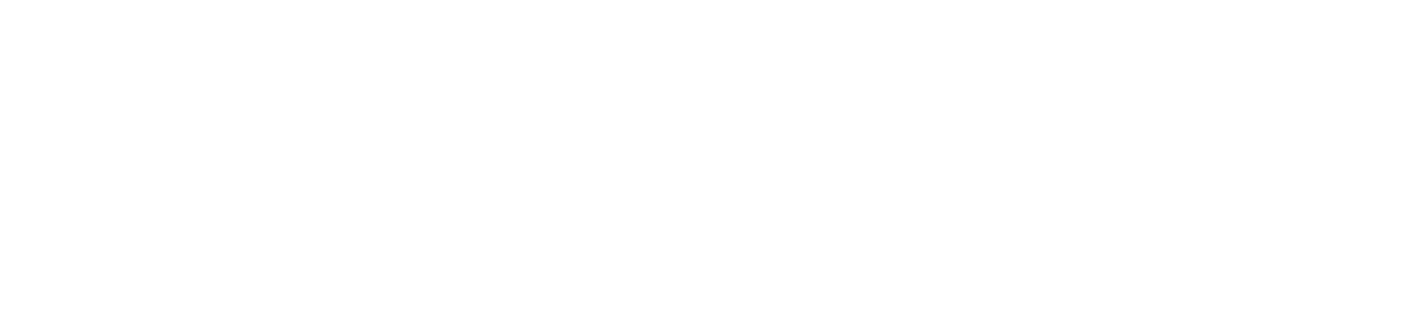 LES Asset Management